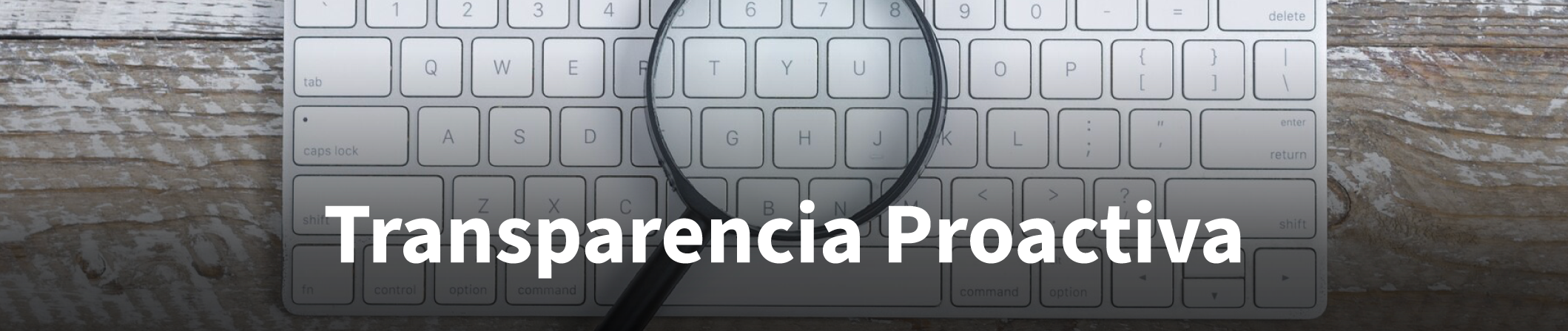 Banner Transparencia Proactiva