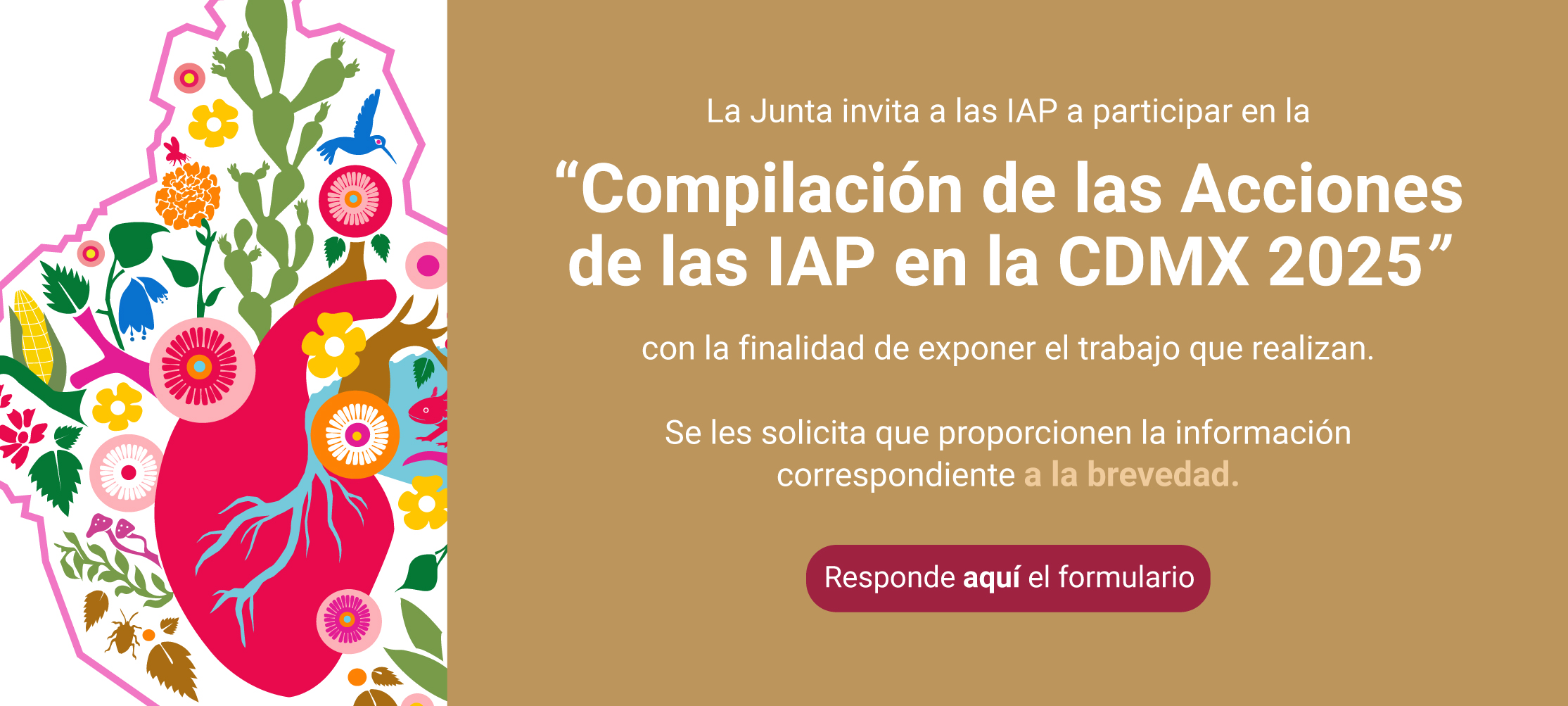 Banner-Compilacin